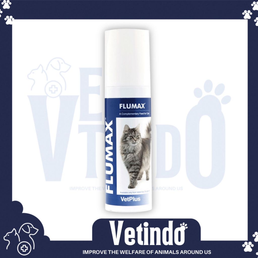 Vetplus Flumax obat flu kucing