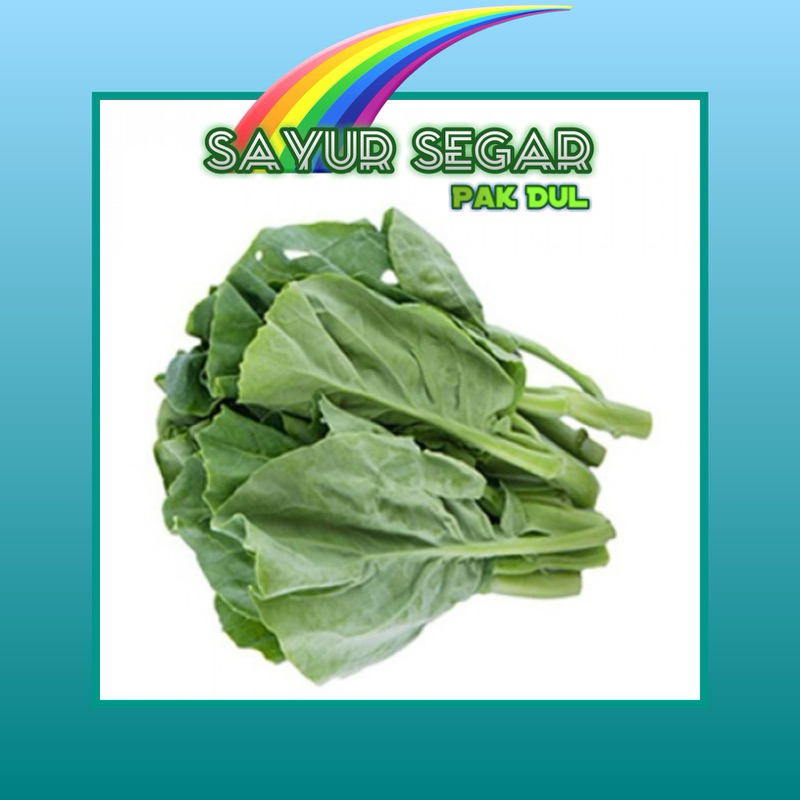 

Kailan / Gailan +- 250 / 500 gr