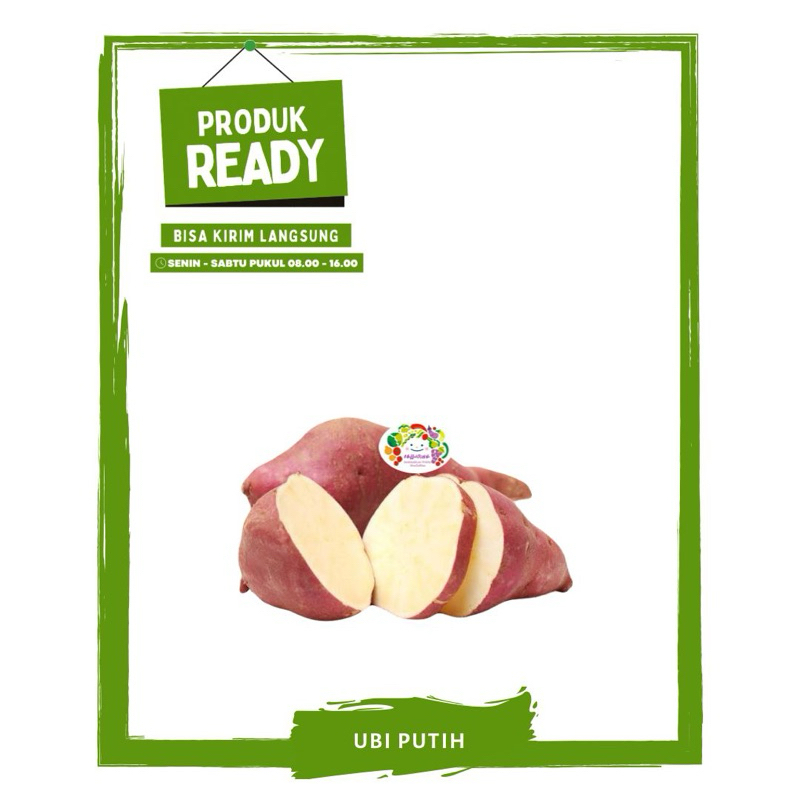 

Ubi Putih / Sayur Sayuran Segar Ready On Mallahrizwa