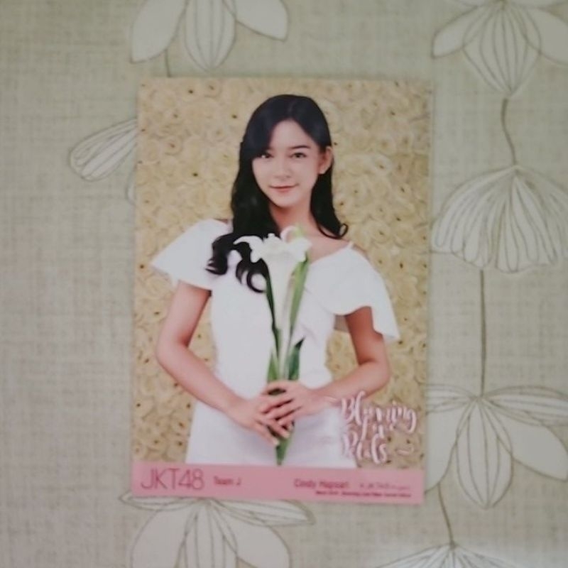 Photopack Cinhap JKT48 Blomming Rose & MC Ayana JKT48 SoLong