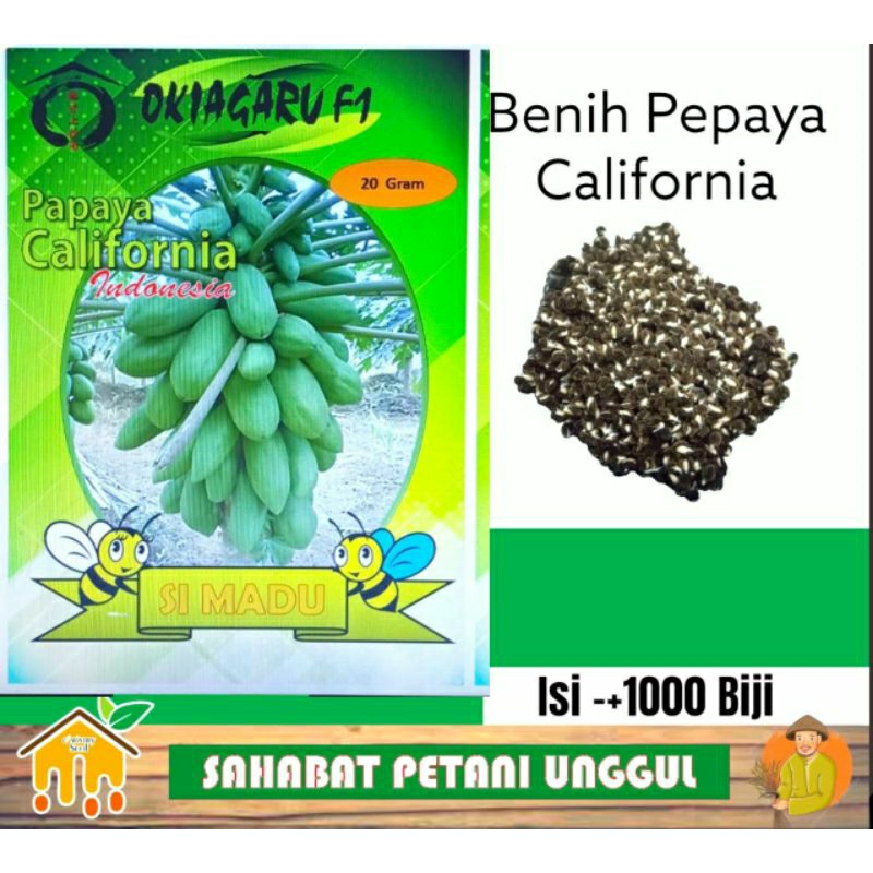 Benih Pepaya California Okiagaru F1 Si Madu 20Gram Benih Pepaya