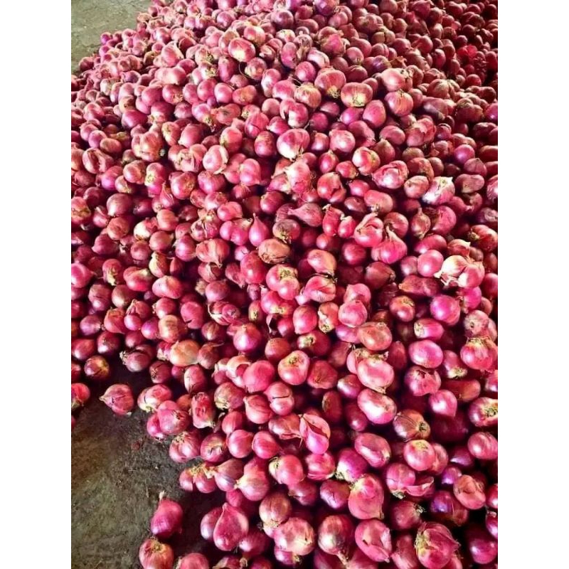 

Brambang/ Bawang merah Nganjuk