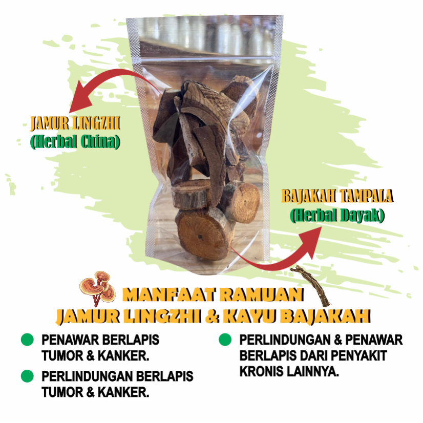 

Jamu Seduh Akar Kayu Bajakah Tampala + Jamur Lingzhi Kering 60 Gr Obat Herbal Anti Kanker & Tumor