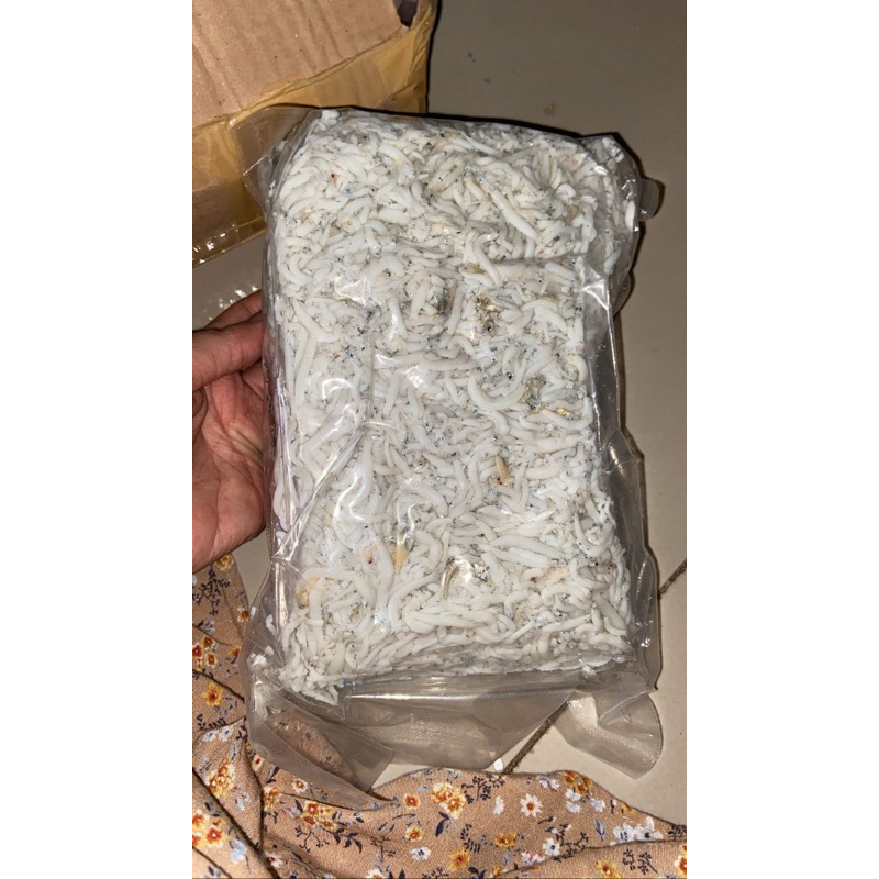 

Teri medan 1/2 kg