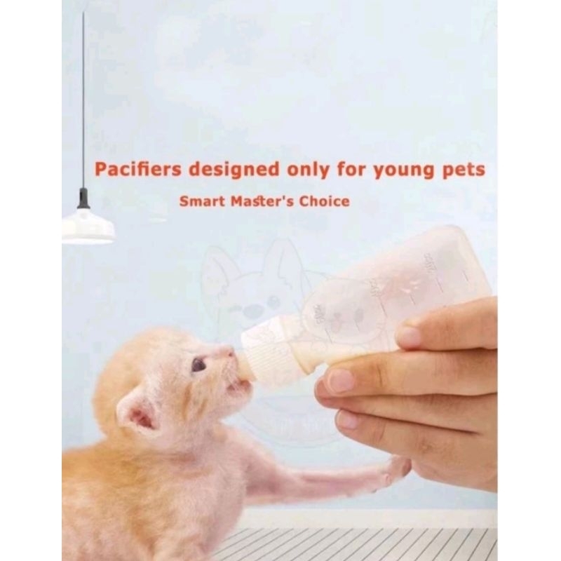 Botol dot susu anak kucing dot kucing