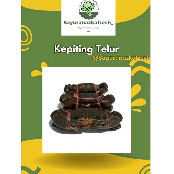 

Kepiting telur [±1kg]