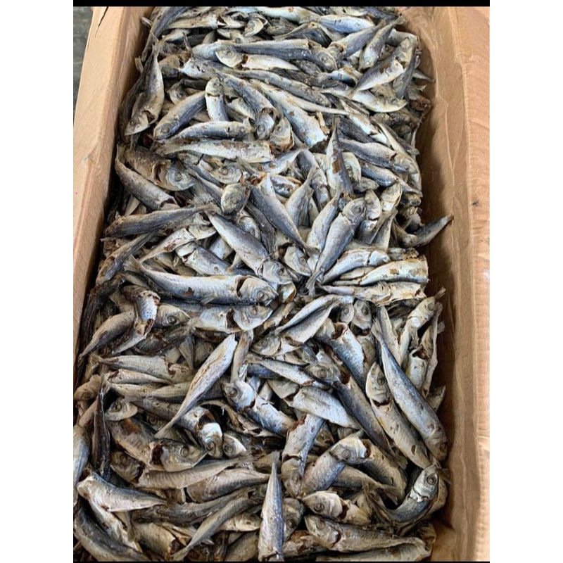 

ikan asin dencis khas medan