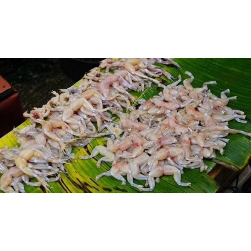 

katak sawah / kodok sawah / kodok bedsar / daging kodok ( Swike) fres 1kg isi 27 - 40