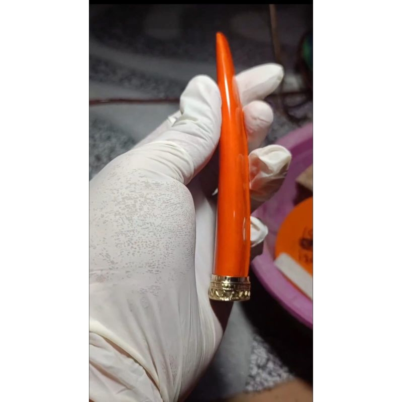 once cangklong pipa tulang sapi tebal premium  UK 12-15cm