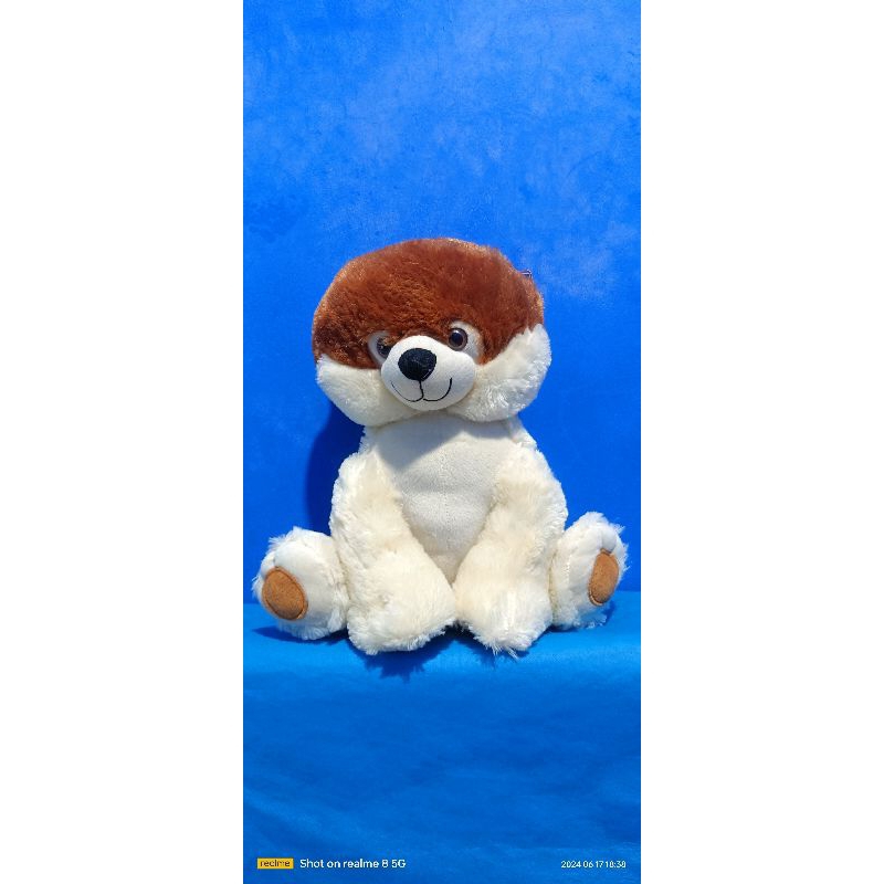 Boneka Guguk Belang Ocean Park Hongkong Ori