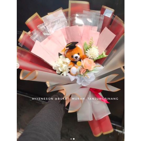 Buket Bunga Campur Uang Kosong dan Boneka wisuda Coklat Kertas Warna Red