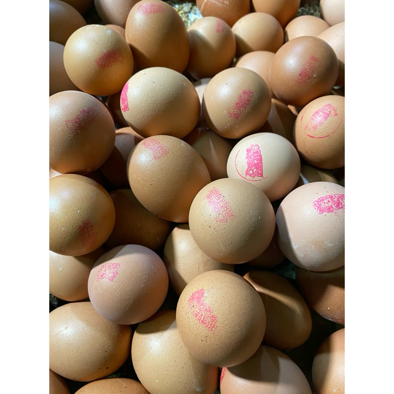 

TELUR AYAM NEGERI OMEGA 3 ASLI BUKAN SUNTIKAN- (1KG)