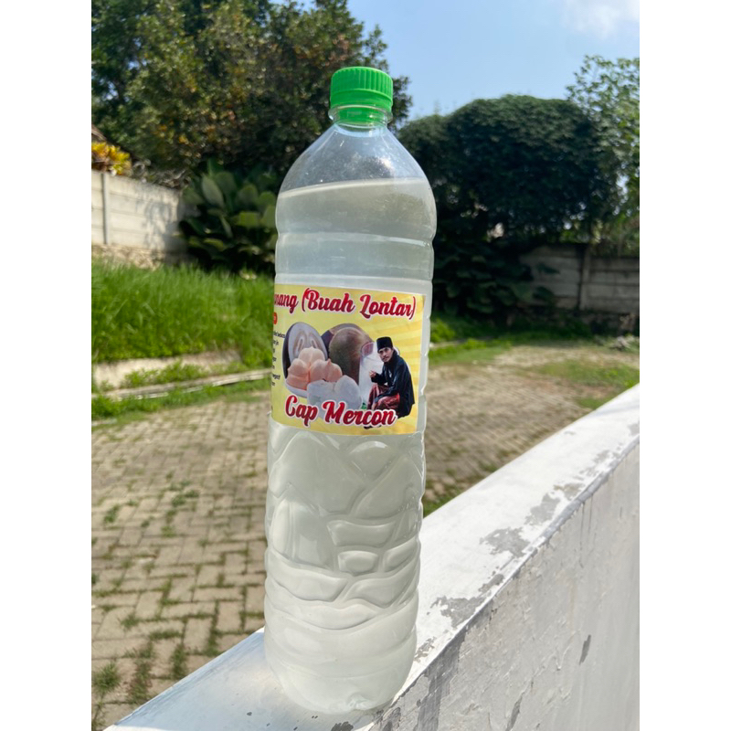 

air karomah sunan bonang (buah lontar) besar