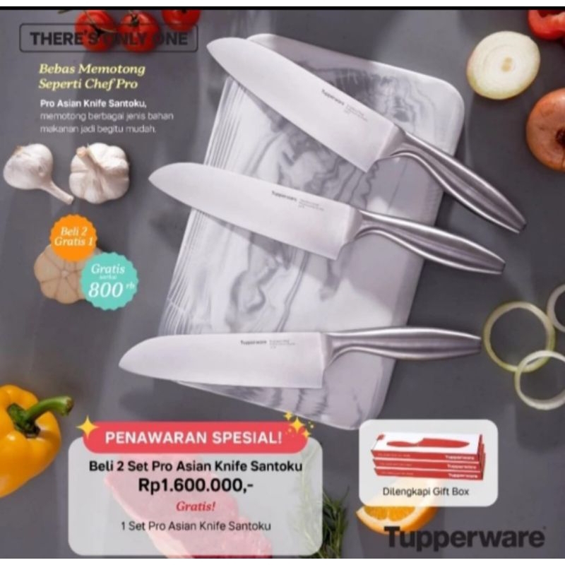 Asian Pro knife Santoko tupperware