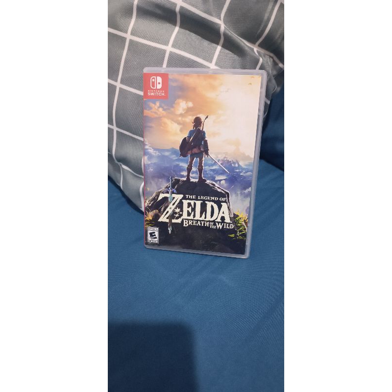 Zelda Breath of The Wild Second