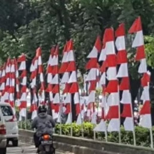 Terbaik UMBUL UMBUL MERAH PUTIH / UMBUL UMBUL MERAH PUTIH GERGAJI ( 2.5 METER DAN 3METER )