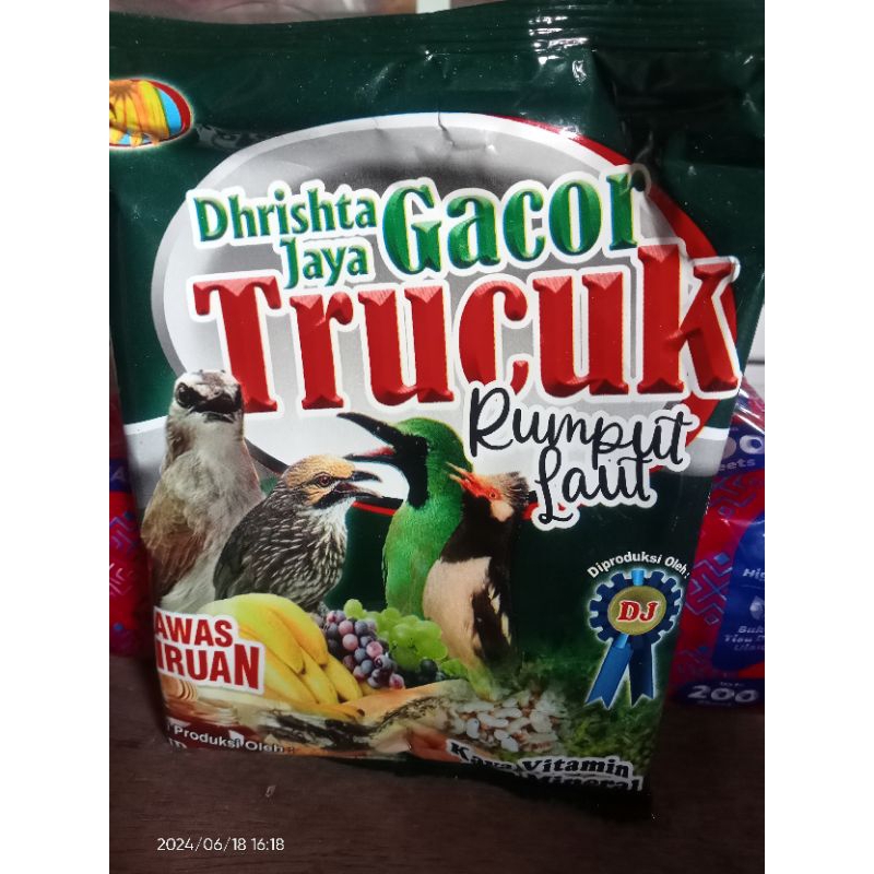 TRUCUK(Pur burung trucuk)