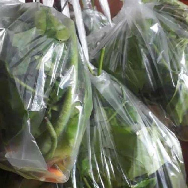 

Paket Sayur Asem Pontianak