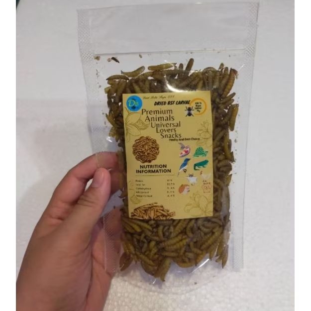 Dry Maggot Ulat Hongkong Kering Grade A / Maggot Pakan Hamster / Reptil / Ikan predator Arwana Chann