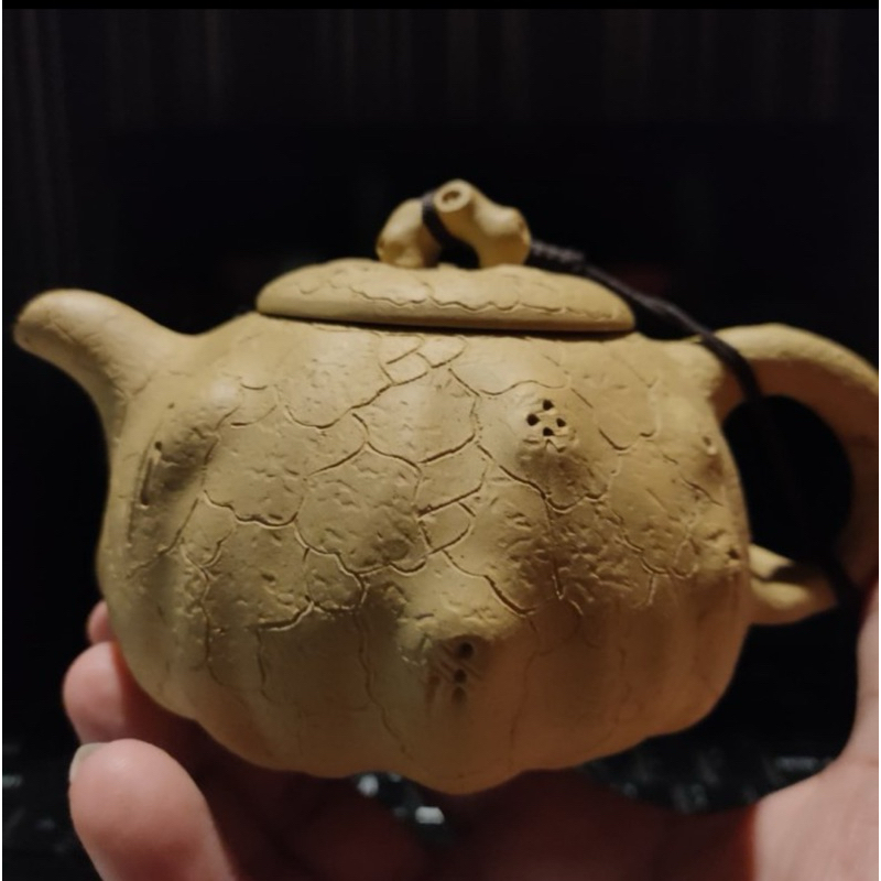Authentic Yixing Zisha TeaPot Handmade Motif Ranting Plum