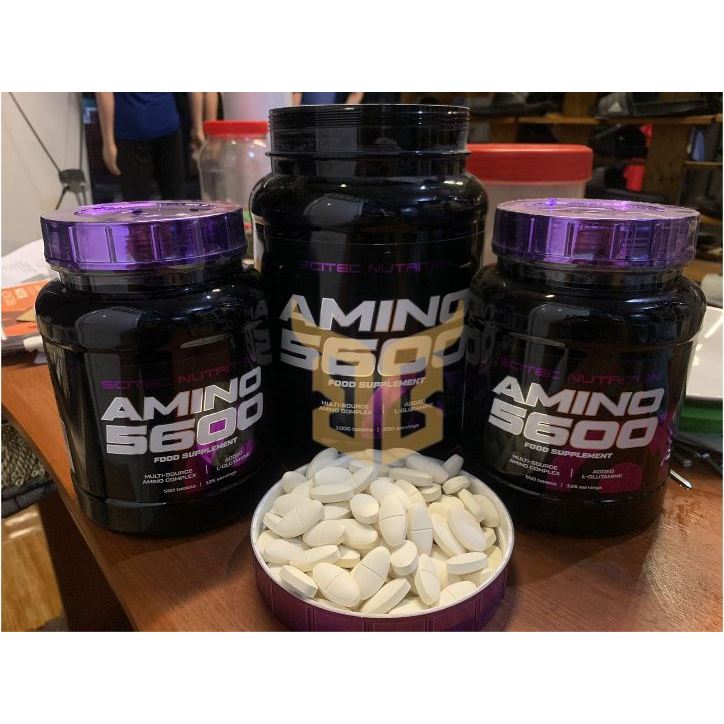 AMINO ECER AMINO 5600 SCITEC NUTRITION SUPLEMENT GYM DAN FITNESS