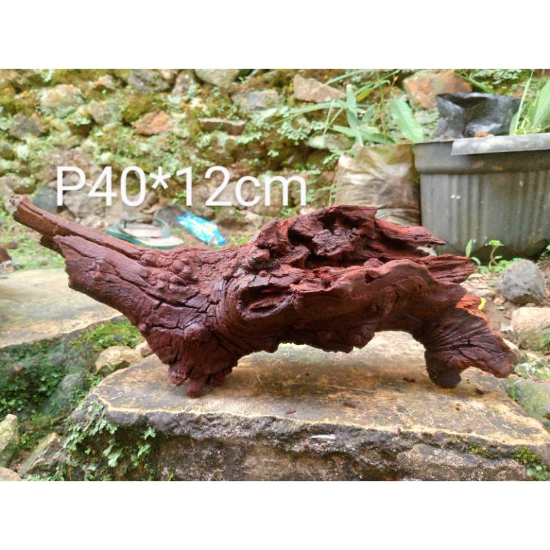 kayu aquascape tenggelam
