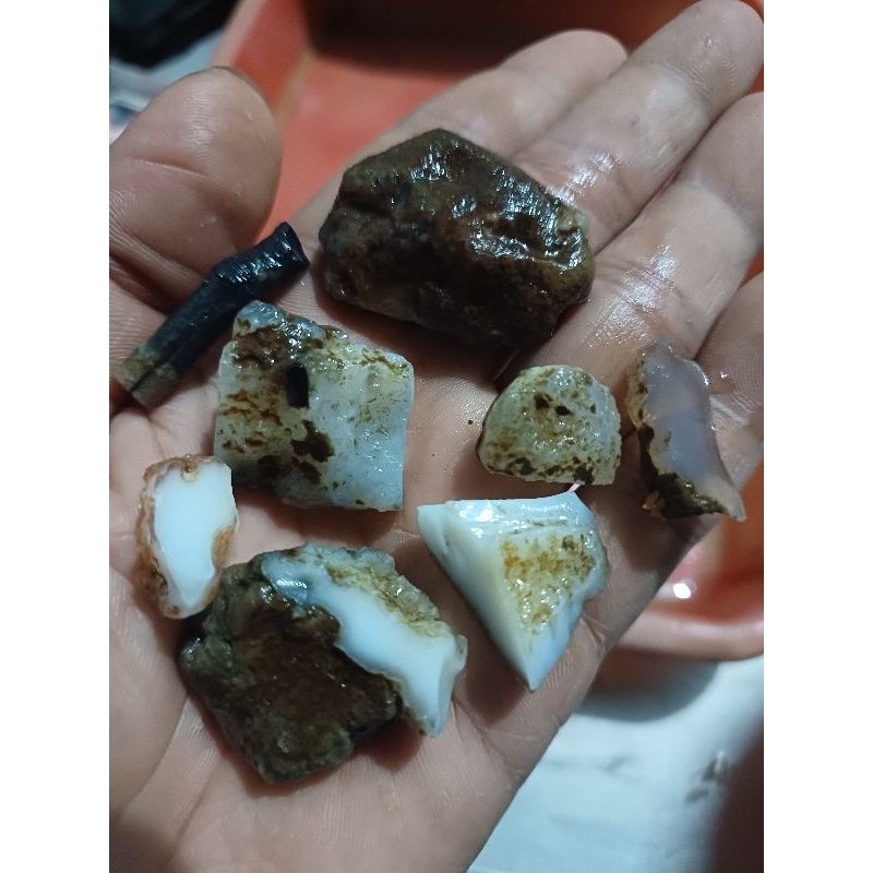 BAHAN OPALAN KALIMAYA BANTEN