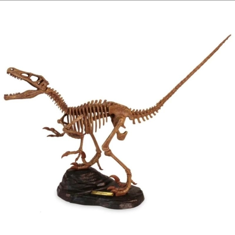 Dr. Steve Hunters GEOworld paleo expedition VELOCIRAPTOR skeleleton kit