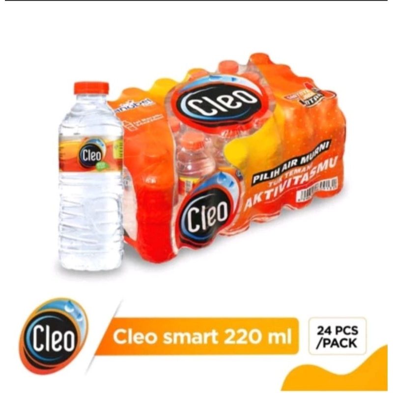 

AIR MINERAL CLEO SMART ISI 24 PCS