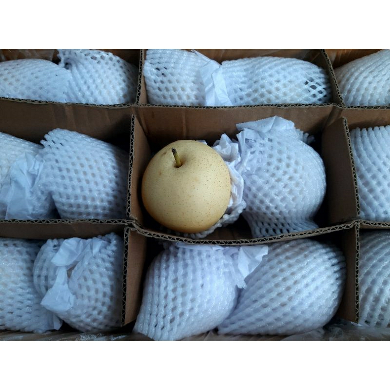 

Buah Pir Century (250gr)