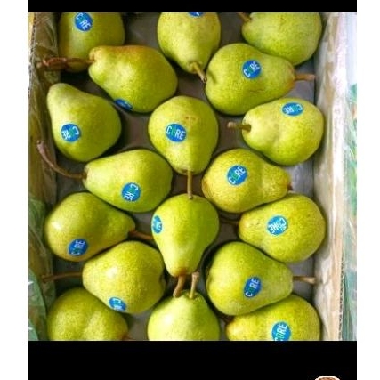 

Pear Xiang lie 1kg