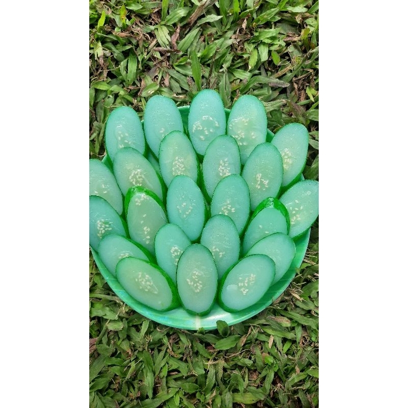 REPLIKA SAYUR IRISAN TIMUN DUMMY FRUITS DUMMY VEGETABLE TIMUN IRIS REPLIKA/PAJANGAN/HIASAN/DEKORASI/