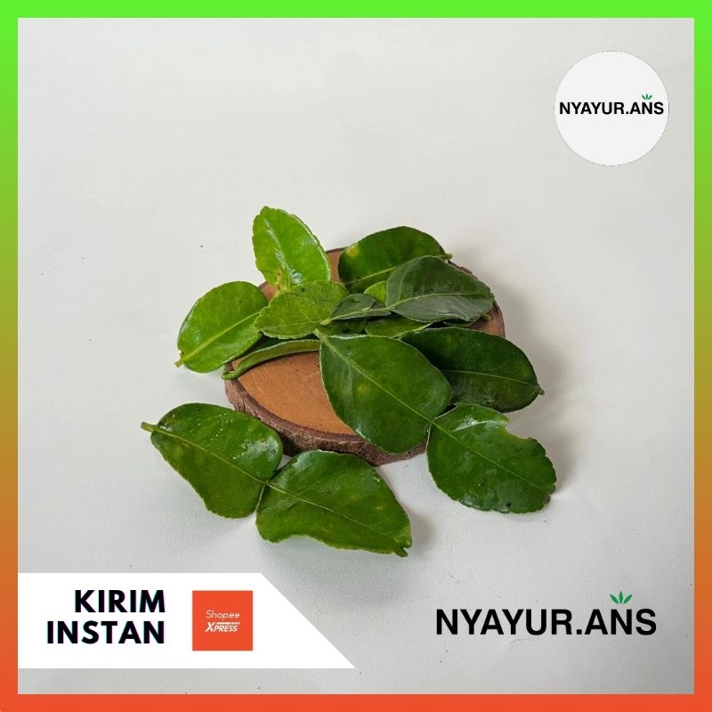 

daun jeruk premium - Nyanyur.ans