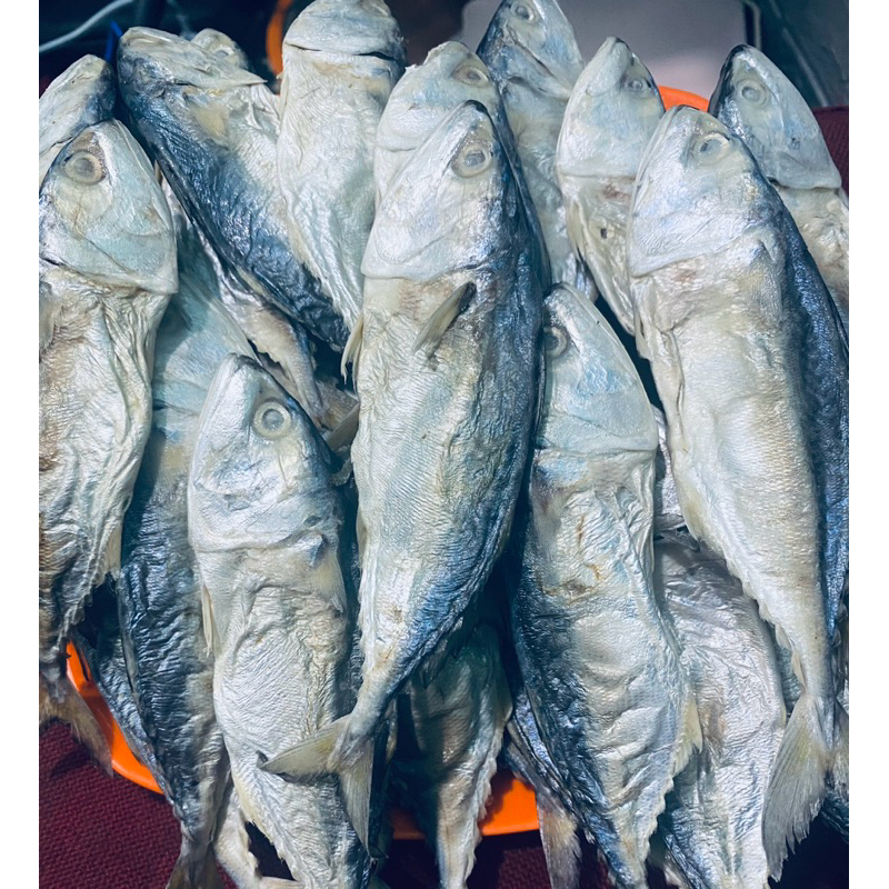 

Ikan asin kembung ikan kembung asin Premium