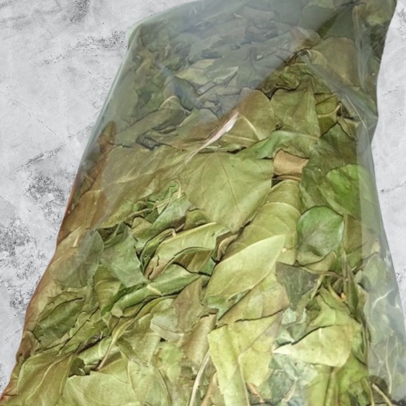 

Daun Beluntas Kering Oven Premium 200 Gram/ 15.000