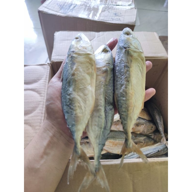 

IKAN ASIN PEDA PUTIH/KEMBUNG BANYAR 500GR