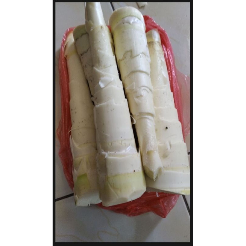 

Rebung muda sayur Iwung 1 KG