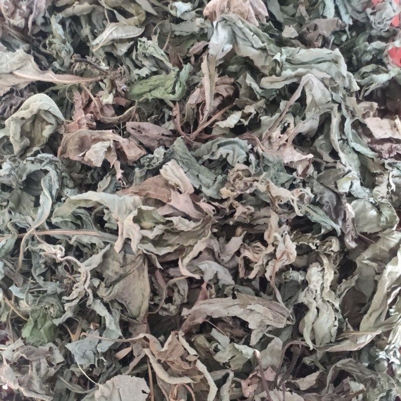 

daun insulin kering500 gr