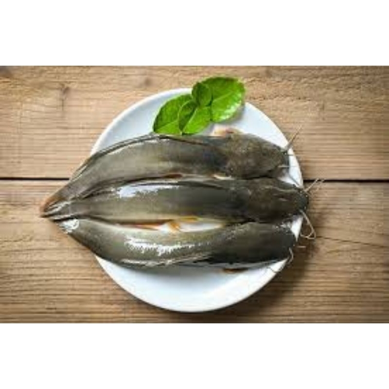 

ikan lele 500gr