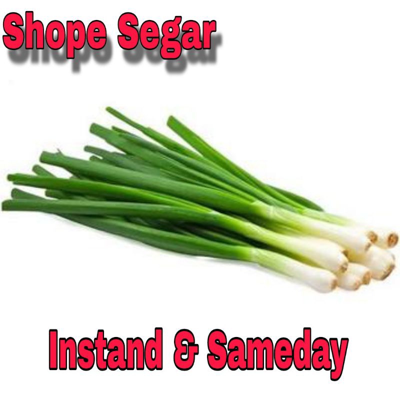 

Daun Bawang Segar Daun Loncang kirim instan dan sameday