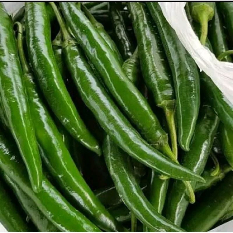 

cabe ijo besar cabai ijo tanjung 100gr-500gr