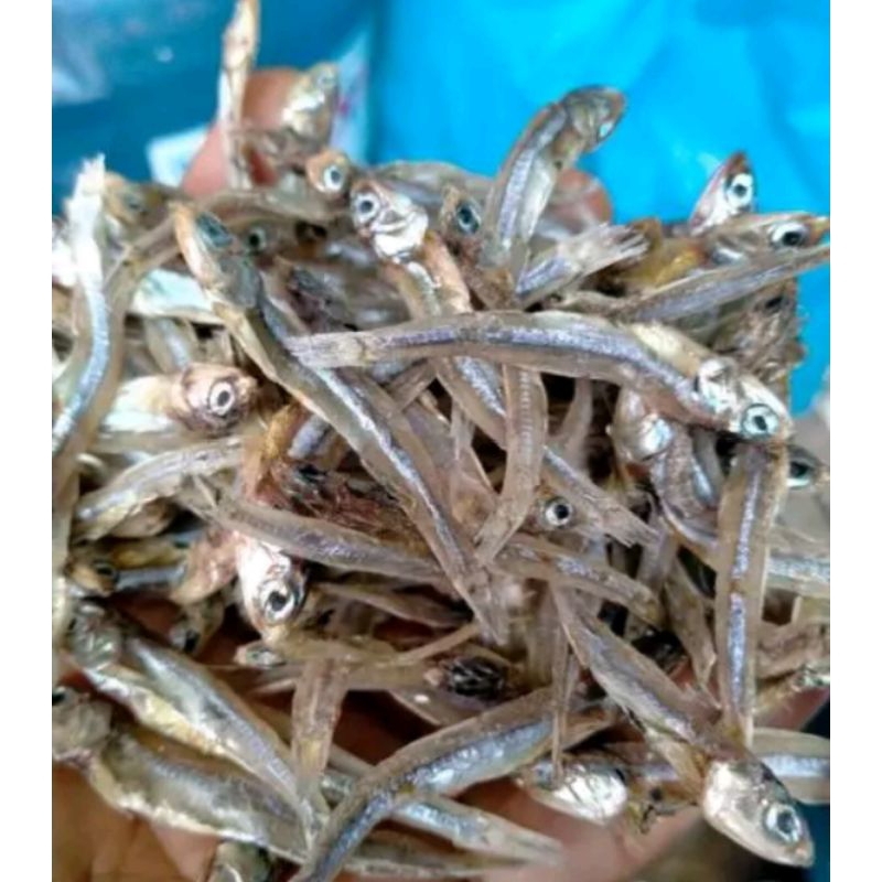 

Ikan Teri Tawar Sibolga 500 Gram