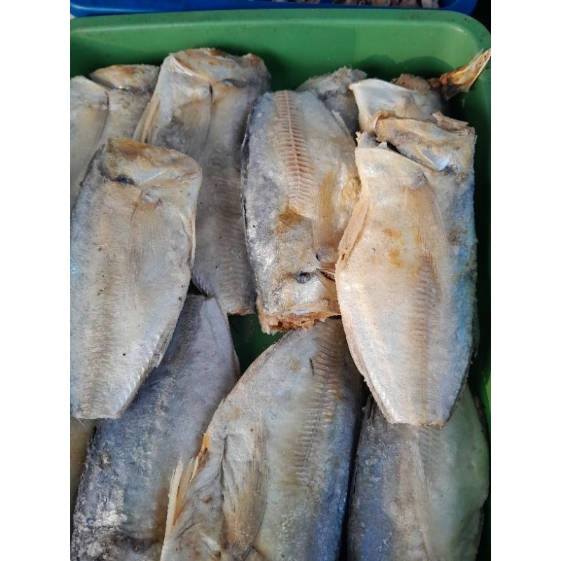 

ikan asin datong / peda buntung