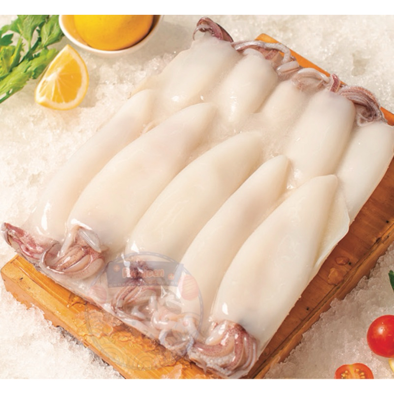 

SQUID WHOLE CLEAN TUBE