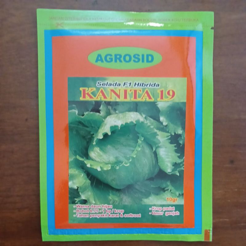 BENIH BIBIT HEAD LETTUCE SELADA HIBRIDA KANITA 19 isi 10 GR
