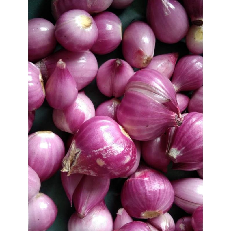 

BAWANG MERAH KUPAS/100 GRAM