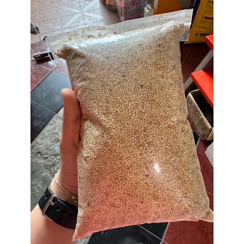 Pakan Burung Milet Putih Repack 1Kg