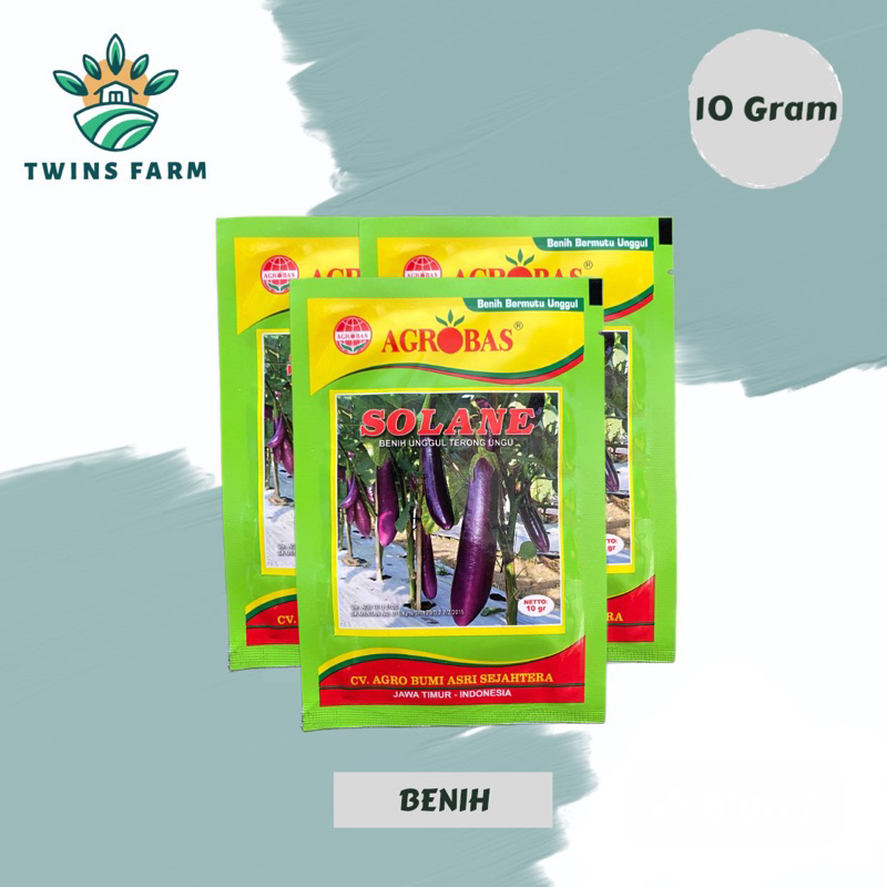 Benih terong ungu unggul Solane 10gr by agrobas