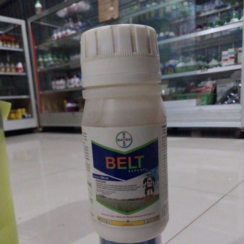 BELT EXPERT 480 SC 250 ml