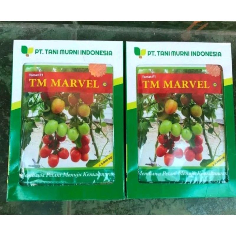 bibit tomat tm marvel 3000 biji TANI MURNI